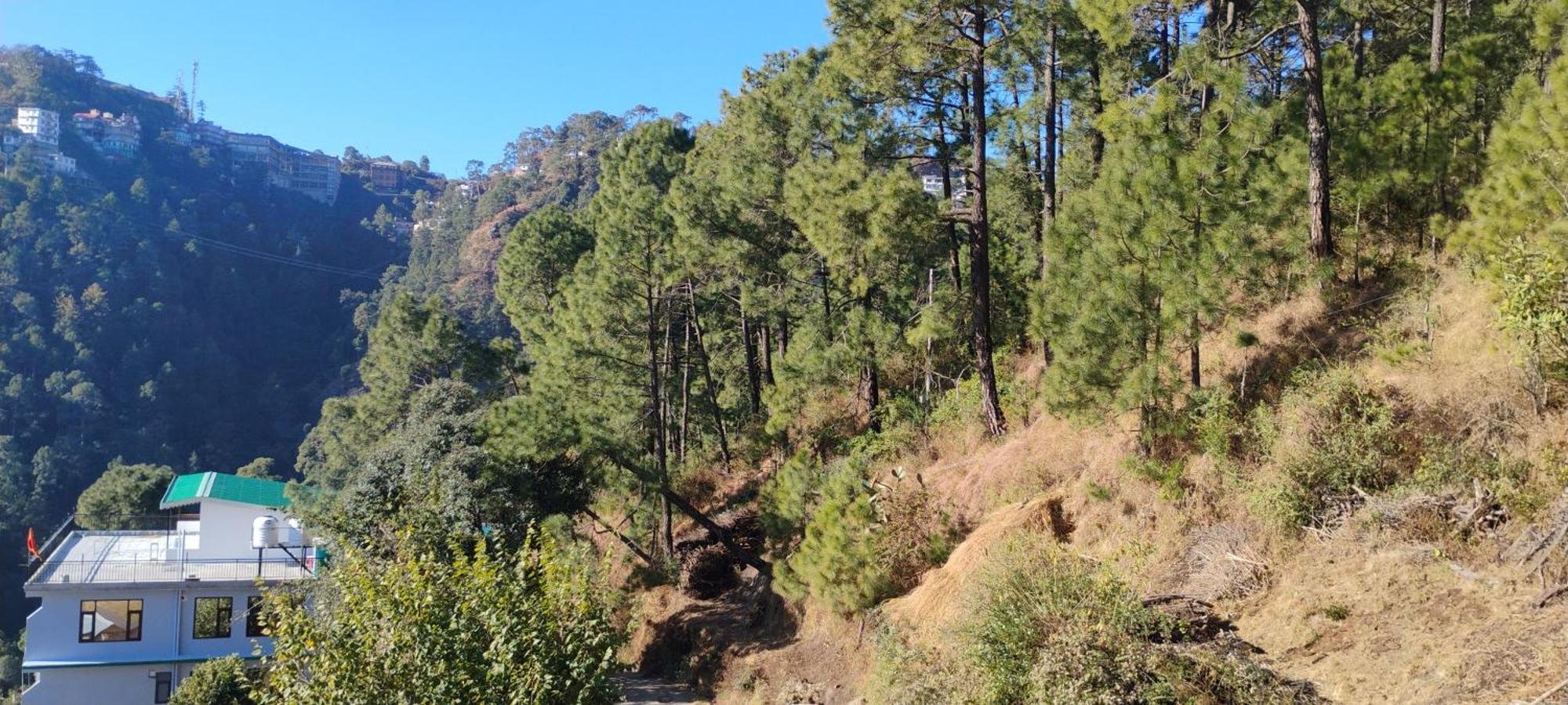 Thakur Homes- Couple And Family Friendly Homestay Shimla Exterior photo