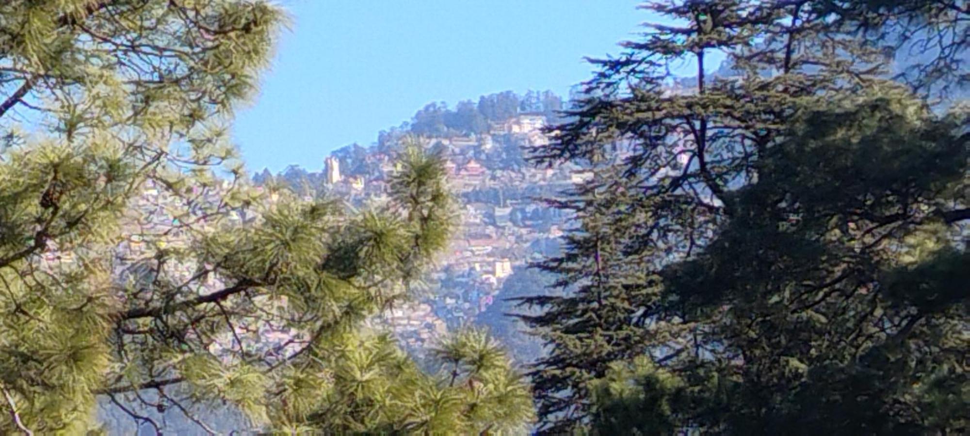 Thakur Homes- Couple And Family Friendly Homestay Shimla Exterior photo