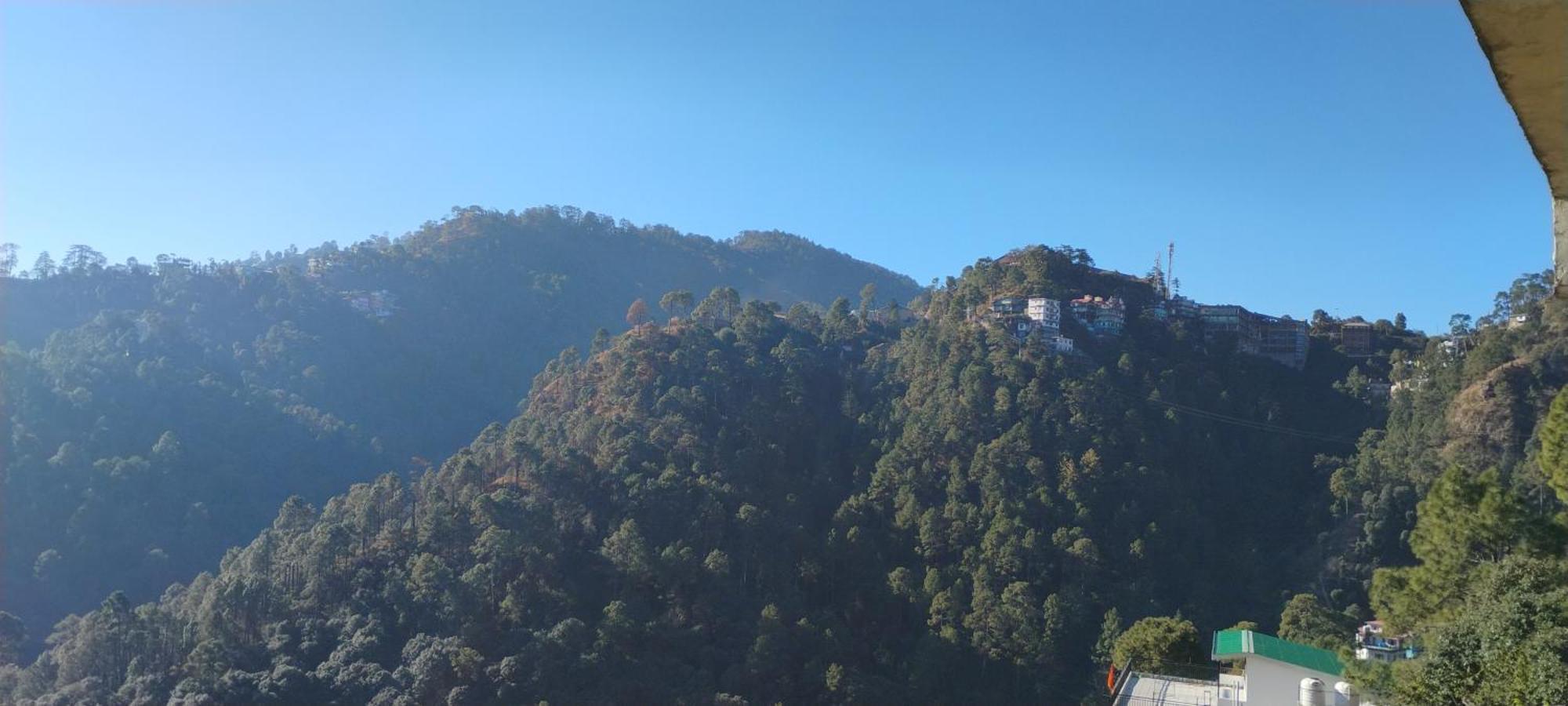 Thakur Homes- Couple And Family Friendly Homestay Shimla Exterior photo